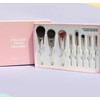 Picasso Collegioni Makeup Brush 8-Piece Set