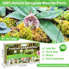 Riare 7OZ Premium Sphagnum Moss for Plants- 10QT Natural Dried Plant Moss for Potted Plants, Orchid Moss for Repotting, Soft Green Decorative Moss for Succulents, Reptiles & DIY Crafts