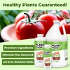 Plant Food for All Plants, Supports Healthy Plant Growth, 8
