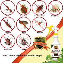 Natural Bug, Insect & Pest Killer & Control Including Fleas, Ticks, Ants, Spiders, Bed Bugs, Dust Mites, Roaches and More for Indoor and Outdoor Use, 128 Fl Oz Gallon Refill