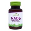 Nad Resveratrol Y Té Verde 30 Cap Vidanat Suplemento