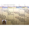 Parthenon Graphics Timelines Laminated Timeline of Ancient Egypt Panoramic Poster,
