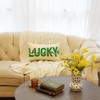 Ogiselestyle St Patricks Day Lucky Charm Throw Pillow Cover, 12