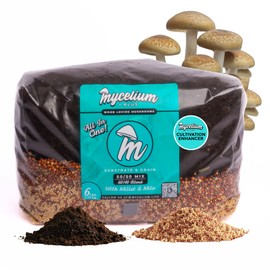 Mycelium 6LB Mushroom Growing Kit | CVG Substrate & Millet/Milo Grain Blend w/Cultivation Enhancer | All-in-One Pre-Sterilized Bag with Injection Port | Grow Dung-Loving Mushrooms Like Magic at-Home