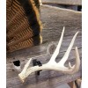 Thuli Products Antler Shed Display Clamp