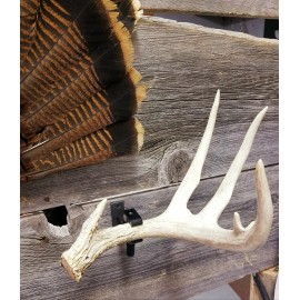 Thuli Products Antler Shed Display Clamp