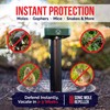 Livin' Well Solar Sonic Pest Repeller Stakes - 4pk Outdoor