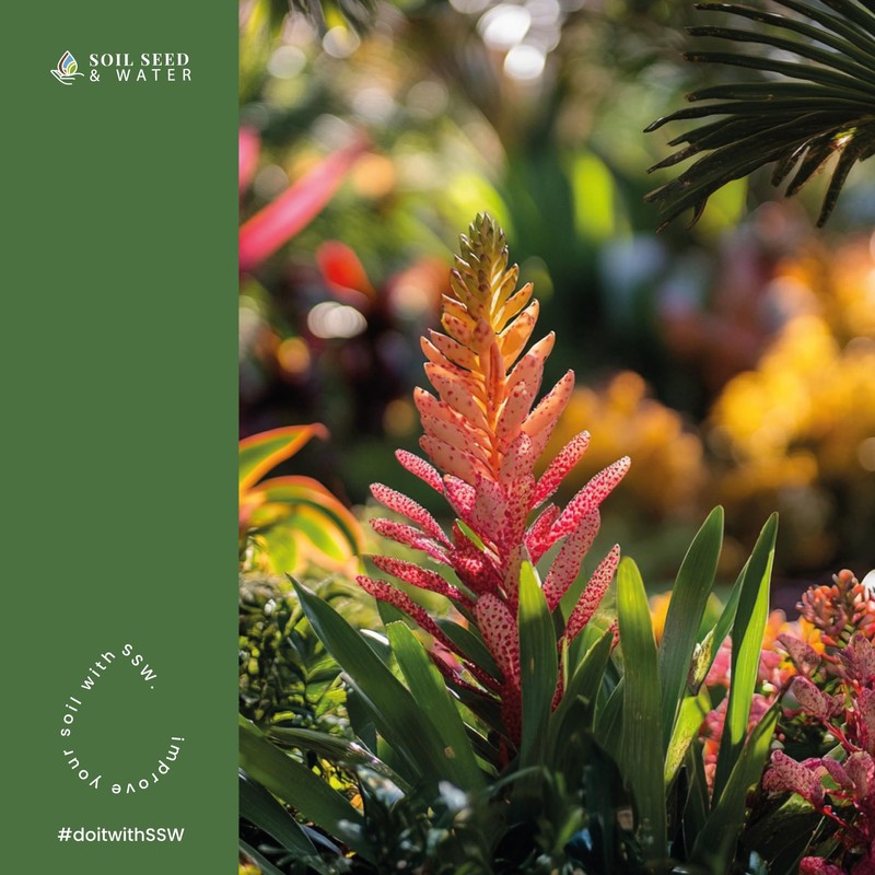 Soil Seed & Water SKMicrosource