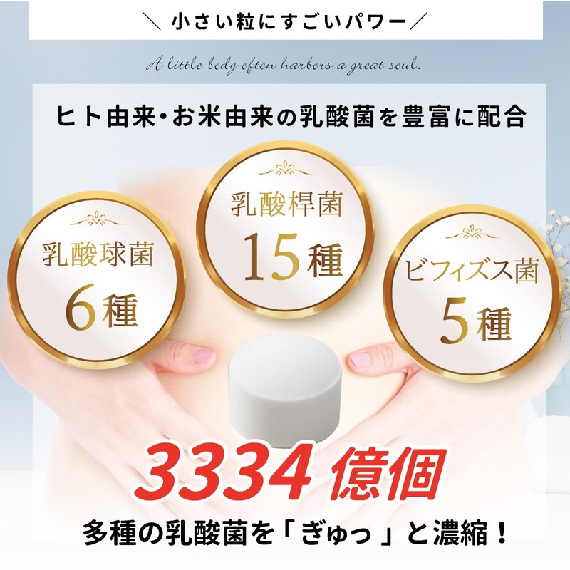 まいにち乳酸菌 タブレット 1日1粒 腸活 サプリ お試しサイズ 生きた乳酸菌より届く バイオジェニックス 21種類の乳酸菌 5種のビフィズス菌
