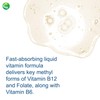 Nutra Biogenesis Methyl Factors - Vitamin B12 Drops, Methylfolate Drops,