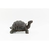 DecoTrend GmbH Decorative Figurine Small Turtle 24.5 x 17.5 x