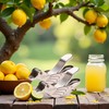 2 Pcs Silver Bird Shape Lemon Juicer Stainless Steel Manual