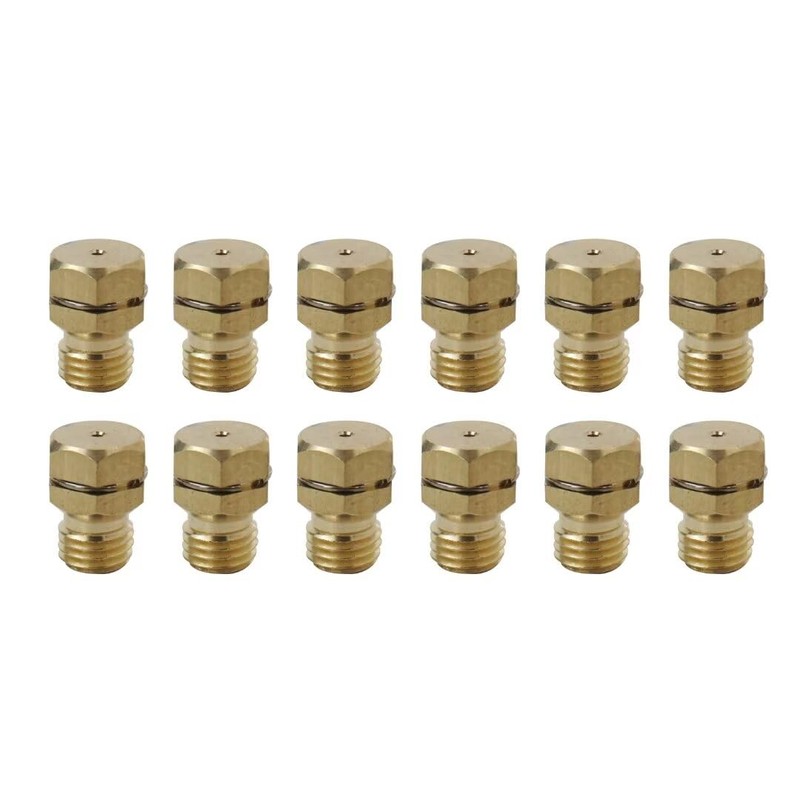BUTITNOW New 12 PCS Brass GRLP4 LP Gas Conversion Kit
