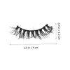 Ipetboom 20pairs Faux Lashes Natural Look Party Eyelashes for Women