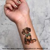4 x 'Dachsund With Blue Bow Tie' Temporary Tattoos -