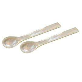 EDZARD Set of 2 Egg Spoons Mother of Pearl (Straight Ends, Length 11 cm), Handmade, Real Sea Mother of Pearl, 100% Natural Product, Mother of Pearl Spoon for Egg and Caviar, Elegant Packaging