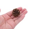 GRIRIW 100pcs Pine Cones Decorations - Natural Pine Cones Bulk
