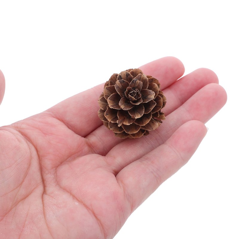 GRIRIW 100pcs Pine Cones Decorations - Natural Pine Cones Bulk