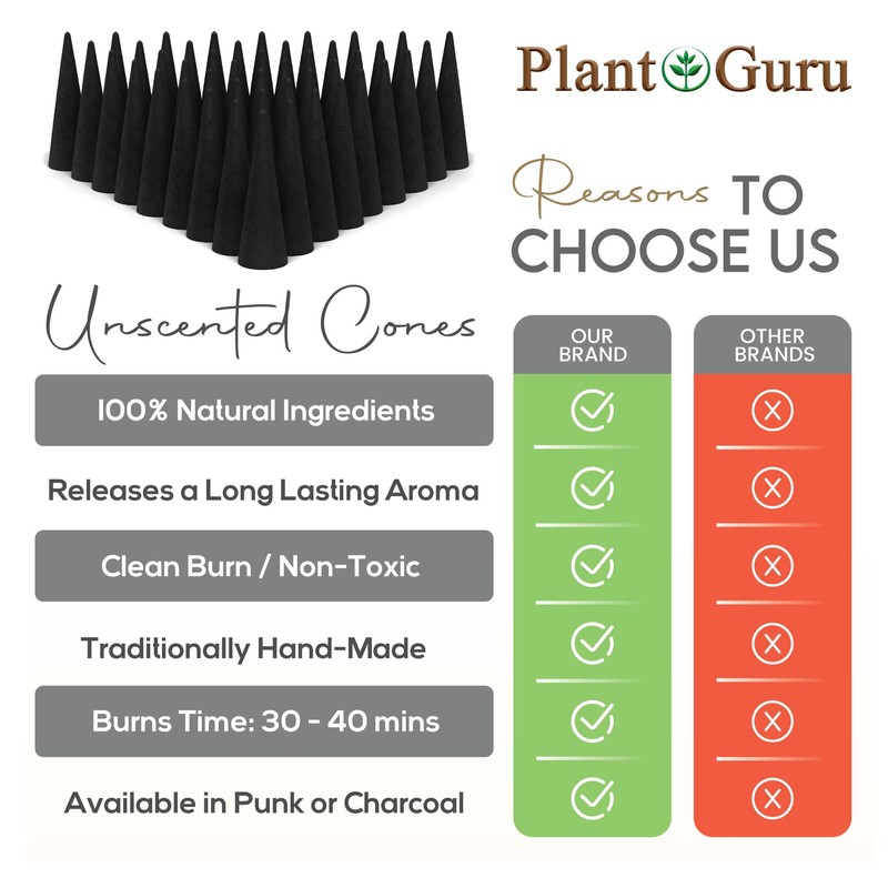 100 Unscented Charcoal Incense Cones 2" TOPFLOW - 100% Natural