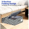 Under Bed Storage with Lid, Underbed Storage Containers with Handles,