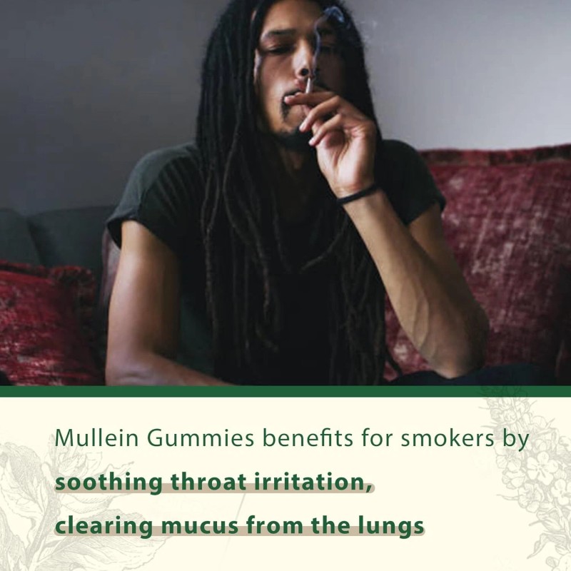 Sugar Free Mullein Gummies - Lung Cleanse - Mullein Leaf