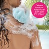 Bodycology 2-in-1 Body Wash & Bubble Bath, Hawaiian Beach, 16
