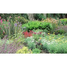 Biggies- Window Well Scenes Wall Art- Flower, 60" x 120"