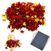 ZERONOWA Cheer Pom Poms Hand Free Wrist Pom Poms Set