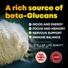 Lions Mane Supplement 10000mg High Strength Mushroom with 500 Million