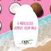 Ogx Shampoo Coconut Miracle Oil 13 Ounce X-Strength (385ml) (2