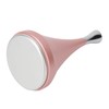 Cooling Beauty Facial Massager Pain Reduce Pore Tighten Portable Cold