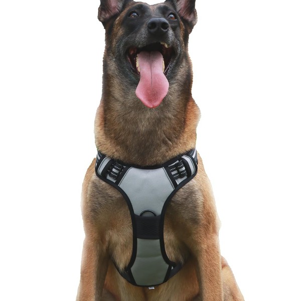 No-Pull Dog Harness, Pet Harness with 2 Leash Clips, Adjustable
