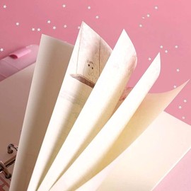 Pink Refill Paper, Binder Inserts 80 Sheets Loose Leaf Inserts Paper Notebook Binder Line Pages Paper,6 Hole Paper Refill Notebook Blank Refill for 6 Ring Refillable Binder Planner Journal Notebook