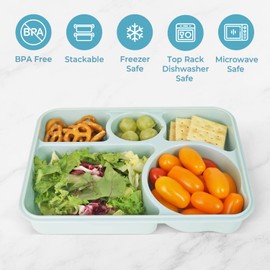 carrotez Portion Control Plate, 5 Compartment Divided Plate with Lid, Microwave Food Storage Tray, Top Rack Dishwasher Safe, BPA Free