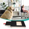 Multifunctional Puppy Nail Grinding Scratch Board Pad Nail File Board