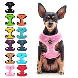 BINGPET Small Dog Harness, No Pull Dog Harness Small Sized Dogs, Soft Light Breathable Mesh Puppy Vest with Safety Buckle-Adjustable Step in Pet Harnesses for Easy Walking, Running, Training