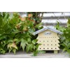 Fallen Fruits WA44 Beehive Bee House, Green, 6"H