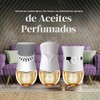Air Wick Plug Aceite Perfumado Vibrante Fogata Maderas Invierno Ambientadores