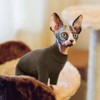 ROZKITCH Hairless Cat Clothes, Breathable Soft Cat Jumpers for Cats