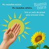 Semilla de Girasol Pelada Cruda BUENAHORA 1Kg – Rica en