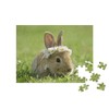 puzzleYOU: Jigsaw Puzzle 100 Piece Cute Little Rabbit with Daisy