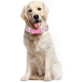 Girl Dog Collar for X-Large Dogs,Cute Pink Flowers Female Dog Collars Adjustable Soft Nylon Dog Collars for Small Medium Large XL Dogs (S)