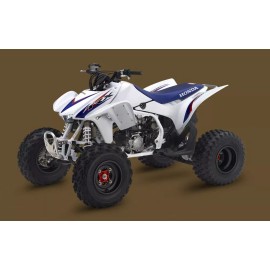 HINSON HONDA TRX450R, TRX450ER HINSON RACING CLUTCH BASKET GEAR CUSHION KIT, CU224