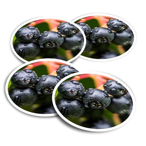 Vinyl Round Stickers (Set of 4) 10cm - Black Chokeberry