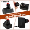 Yetaha Propane Electronic Pulse Gas Igniter Assembly with 400mm Electrode