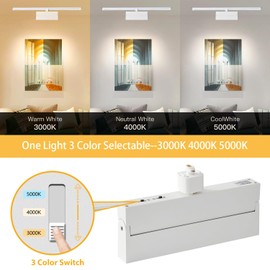 VANoopee 3-Color Dimmable H Track Lighting Heads H Type LED Track Light Heads Modern Ceiling Spotlight Fixtures for Kitchen Wall Art Shop, 3000K 4000K 5000K, Bright Flicker Free 100° CRI90+ White 24W