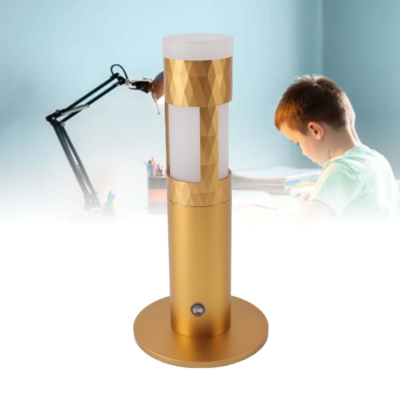 Vase Table Lamp Battery Powered USB Rechargeable Cordless Dimmable Flower