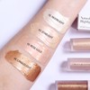 Erinde Liquid Blush & Liquid Highlighter Makeup, Soft Pinch Dewy