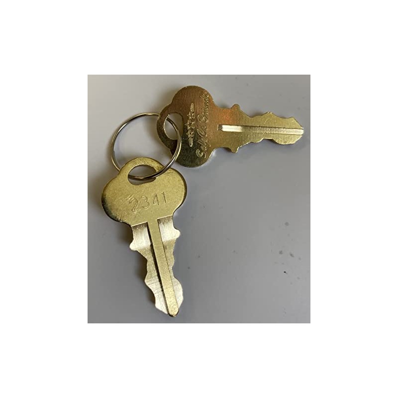 Slot Machine Jackpot IGT Reset Keys 2341 SafeCo Brands 2-Keys