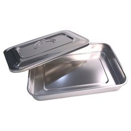 Easyinsmile - Bandeja quirúrgica médica para instrumentos de esterilización dental con tapa y mango (plata)